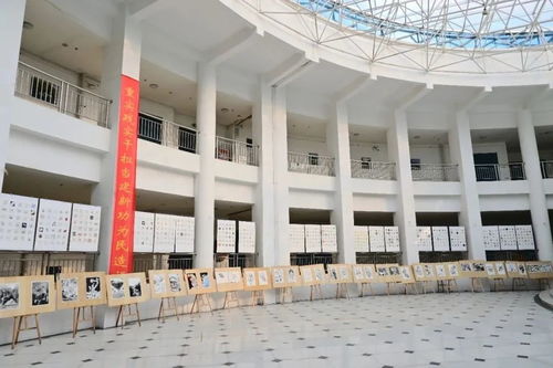 精彩纷呈 一起看安阳工学院艺术设计学院2023级设计素描作品展