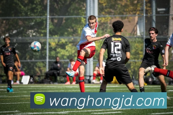 奖项证书